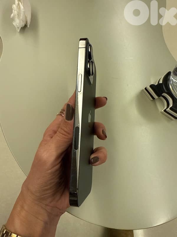iPhone 13pro Max 2