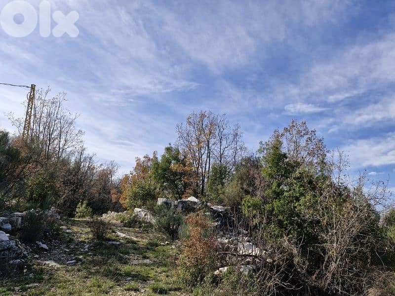 Land for sale in Mechmech 0