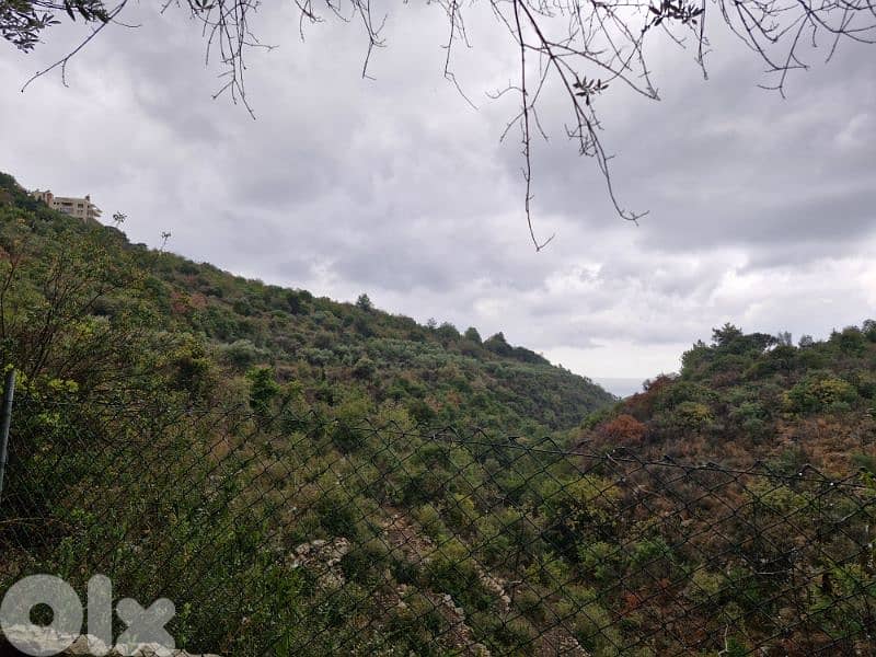 Land for sale in Lehfed directly on the highway 0