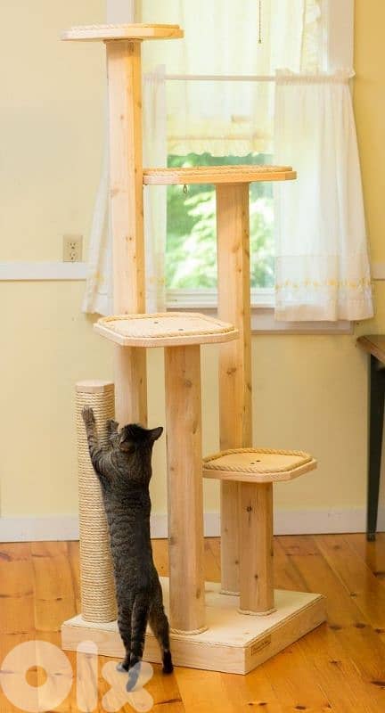 pet stuff  handmade 1