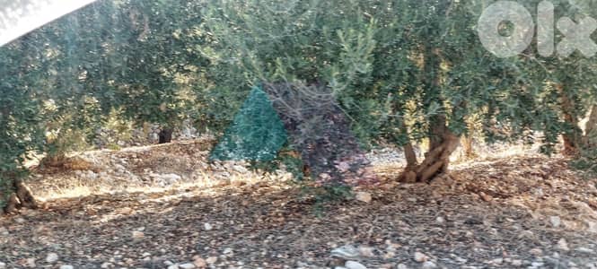 2100 m2 land+open view 4sale in Bsarma - أرض للبيع في بسارما