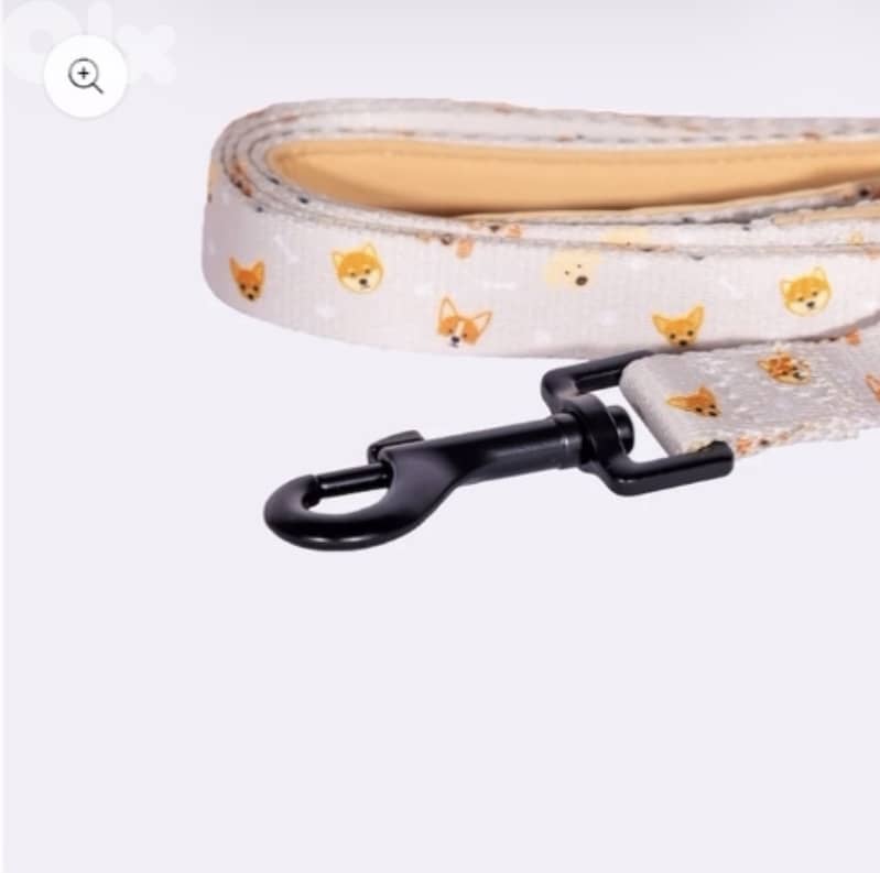 Dog leash 1