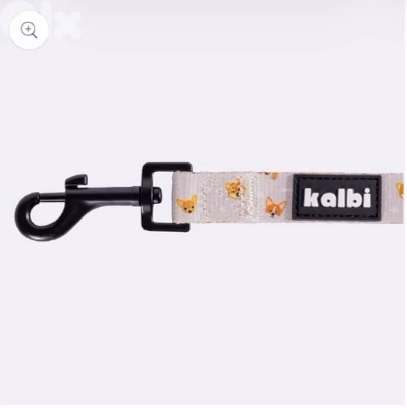 Dog leash 4