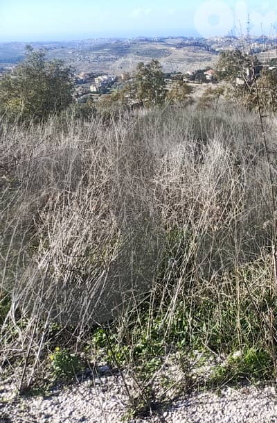Prime Investment Opportunity | 1,200 sqm | Zoning 30/60 ! REF#YF131197