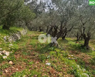 prime area, great deal, aley, bchamoun/بشامون  REF#RO131233