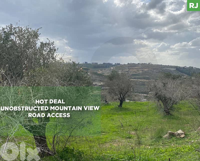 Land For Sale / Hot Deal / Aabbasiyyeh REF#RJ131239 0