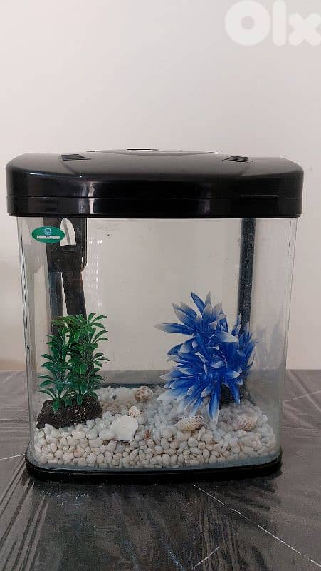 Fish Aquarium 3