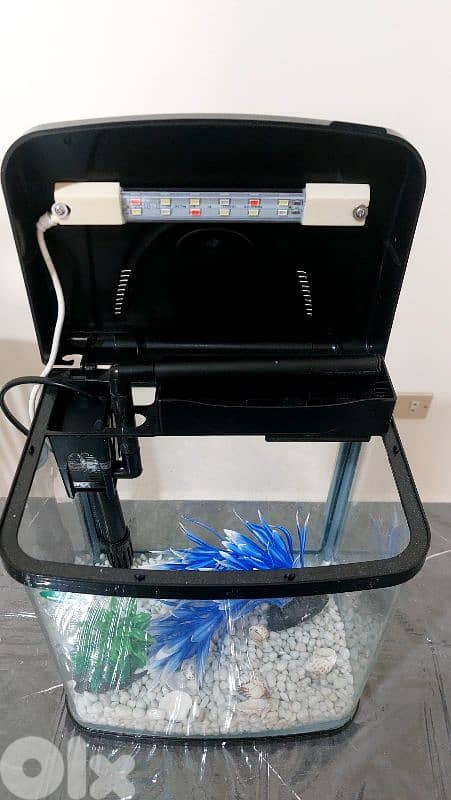 Fish Aquarium 5