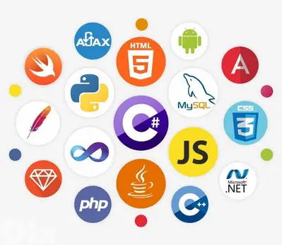 Online or on site programming / networking courses
