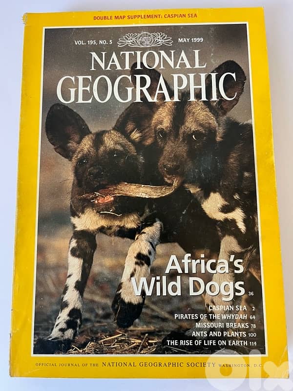 National Geographic Magazine May 1999 - Africa’s Wild Dogs 0