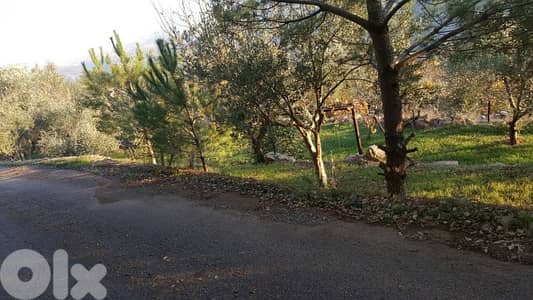 Land for Sale – Zaroun