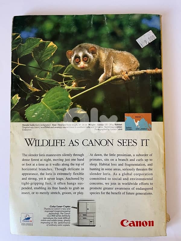 National Geographic Magazine July 1998 - Dinosaurs Take Wing 1