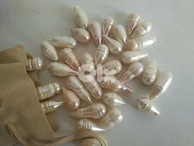 Large freshwater pearls beads