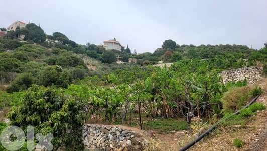 L20096 - Spacious Land in A Prime Location For Sale in Berbara