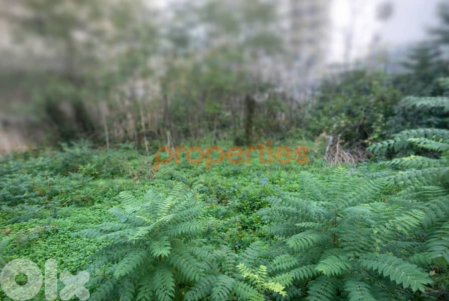 Prime Land for Sale – High Investment Potential in Jal el Dib – CPFY10 0
