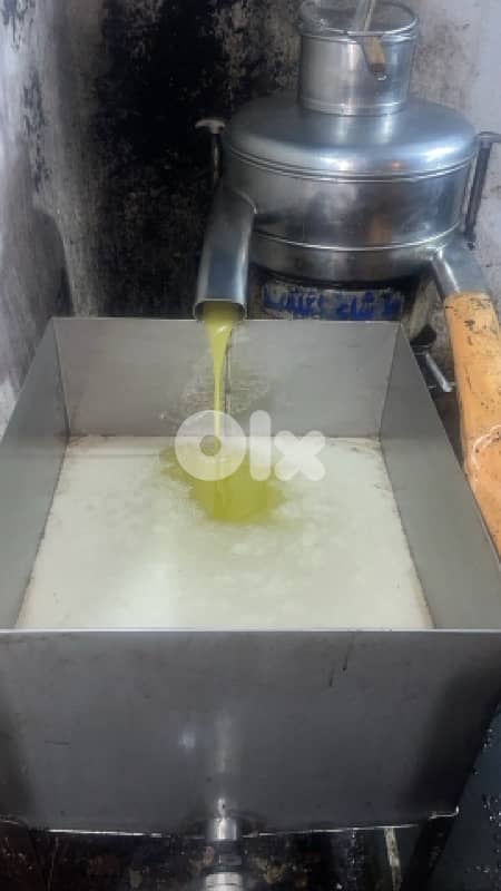 olive oil 0
