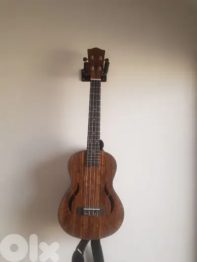 ukulele guitar