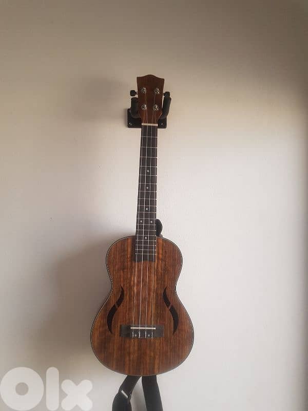 ukulele guitar 0