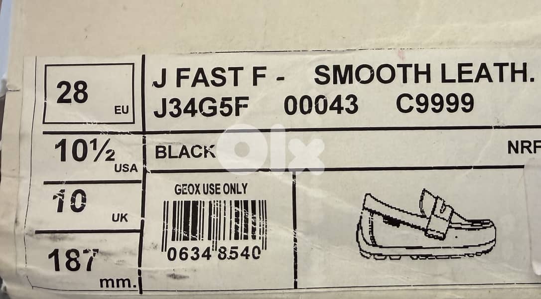 Geox Shoes 1