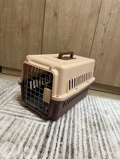 cage قفص