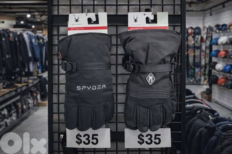Ski Gloves 0
