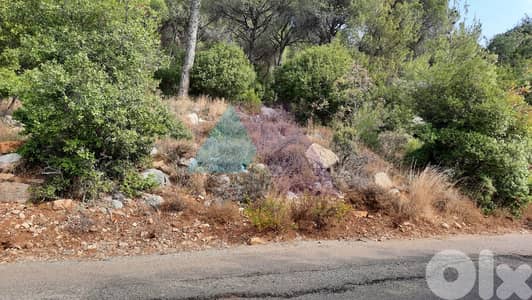 1610m2 land+mountain view 4sale in Ouyoun Broumana - عيون برمانا