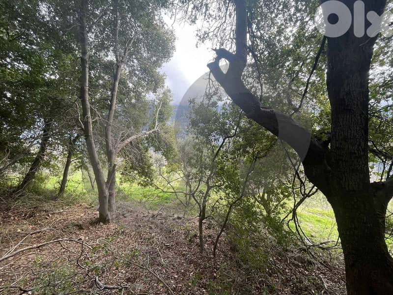 Land | Prime Residential Plot in Ain Jrein - jbeil ! REF#RS131510 1