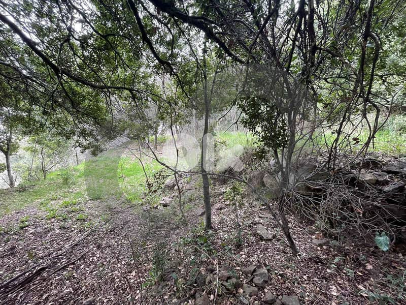 Land | Prime Residential Plot in Ain Jrein - jbeil ! REF#RS131510 3