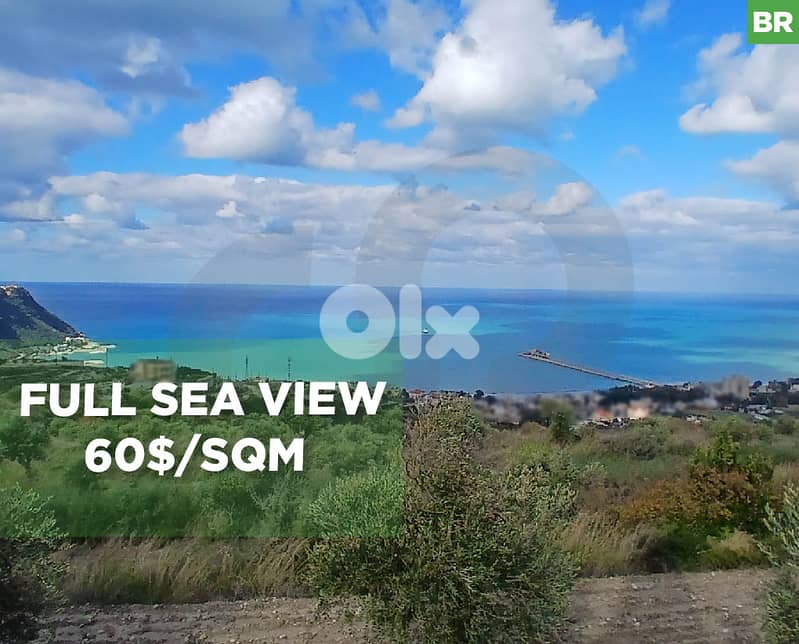 full sea view, 60$/sqm, kefraya/كفريا REF#BR131537 0
