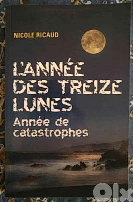 L'année des treize lunes 0