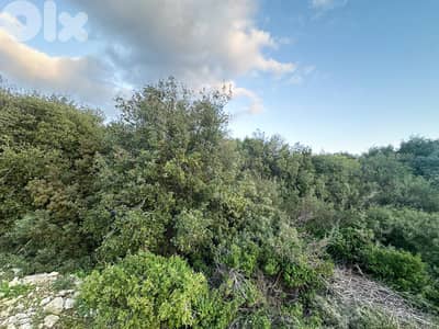 Panoramic Hamat Land - أرض هادئة بإطلالة مفتوحة في حامات