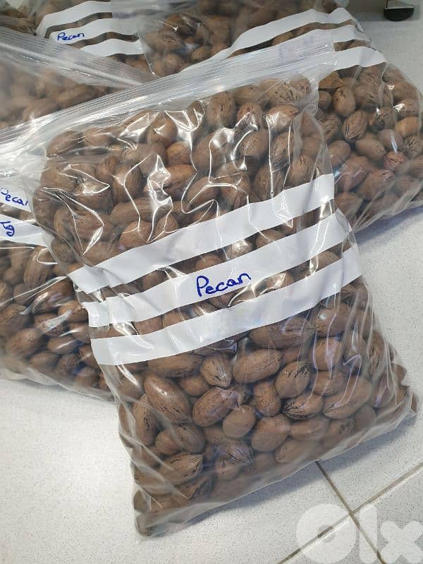 Pecan Nuts جوز أمريكي 4