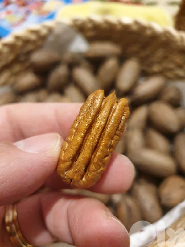 Pecan Nuts جوز أمريكي 1