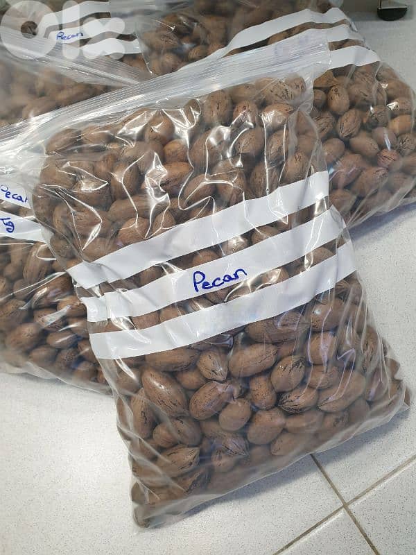 Pecan Nuts جوز أمريكي 4