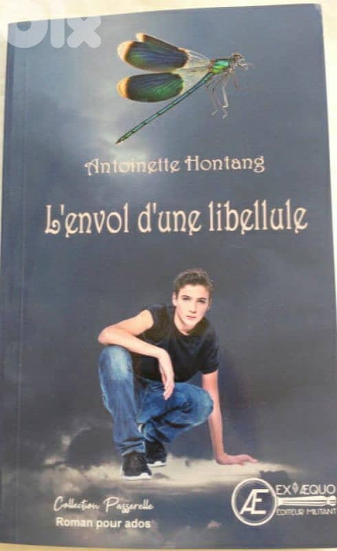 L'envol d'une libellule 0