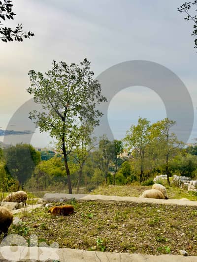 LAND/Direct Access to the road/CHNANIIR/تشانيير ! REF#ST131648 !