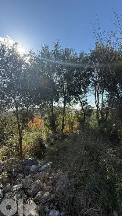 Land for sale in Batroun - أرض للبيع في البترون