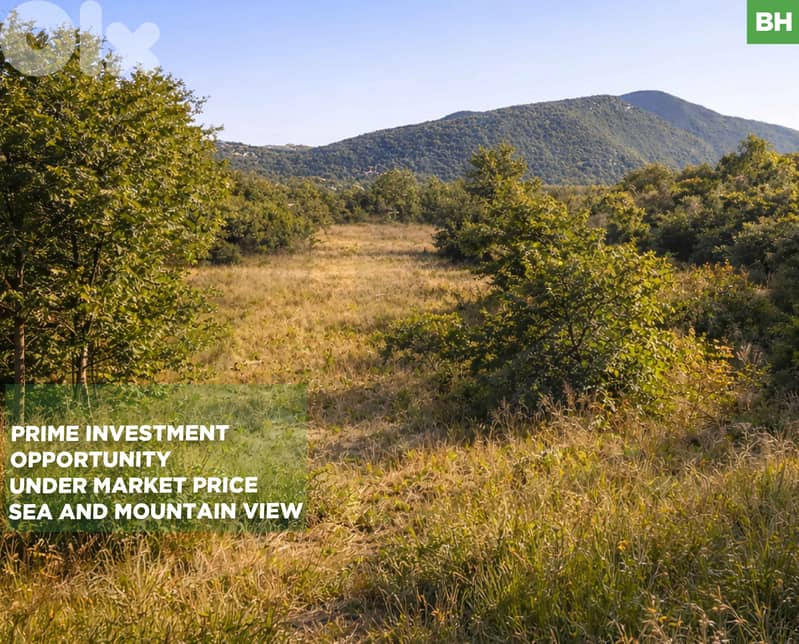 4,785 SQM land/ Mlikh/JEZZINE/مليخ ! REF#BH131690 ! 0