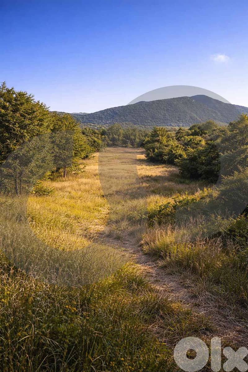 4,785 SQM land/ Mlikh/JEZZINE/مليخ ! REF#BH131690 ! 1