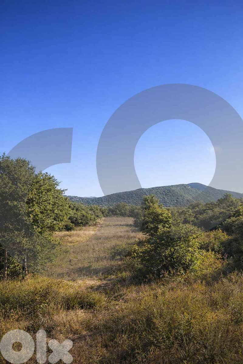 4,785 SQM land/ Mlikh/JEZZINE/مليخ ! REF#BH131690 ! 2