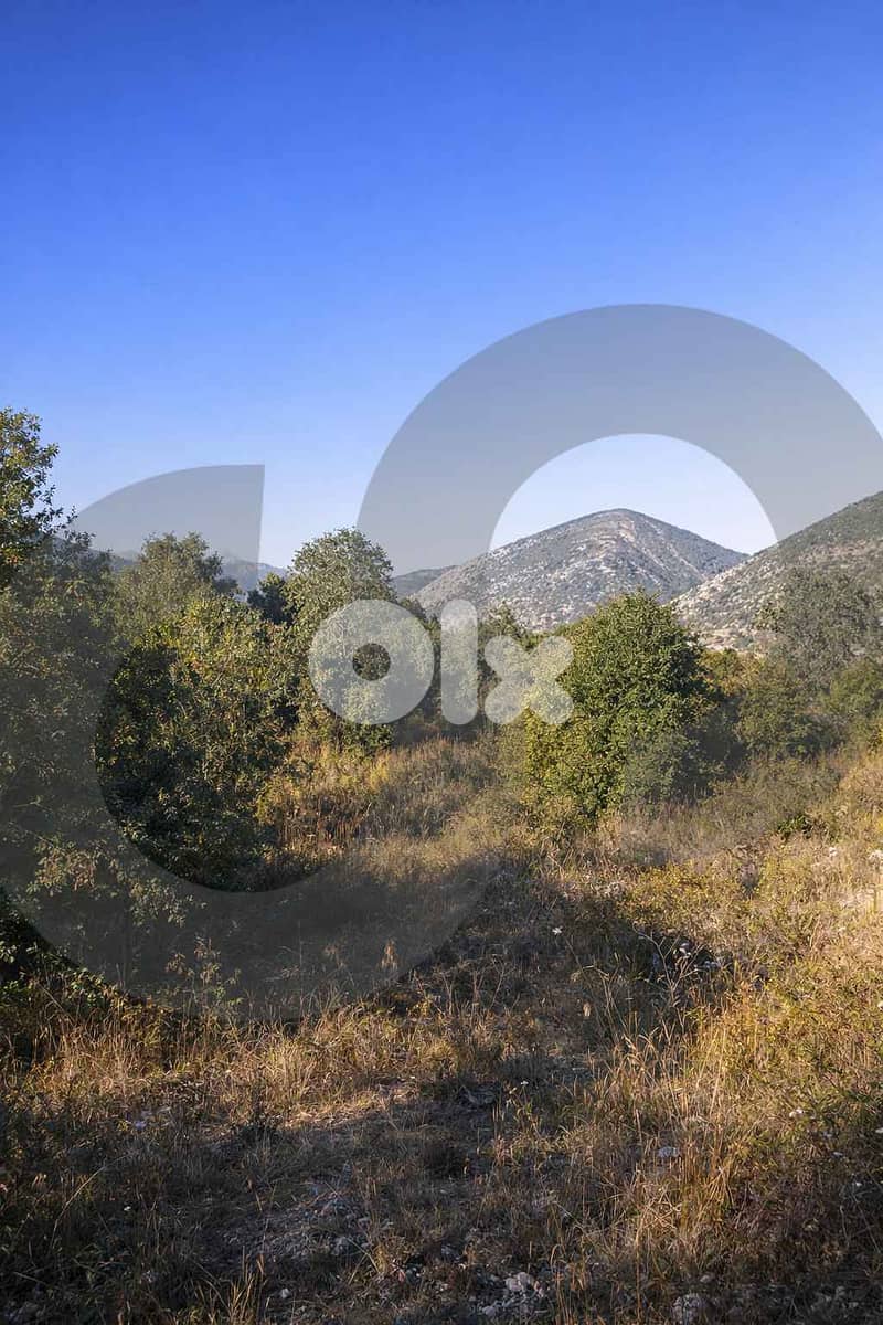 4,785 SQM land/ Mlikh/JEZZINE/مليخ ! REF#BH131690 ! 3