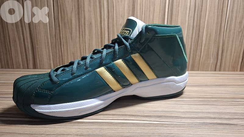 Basketball Shoes (New) + Casual Shoes (Like New) | $120 2