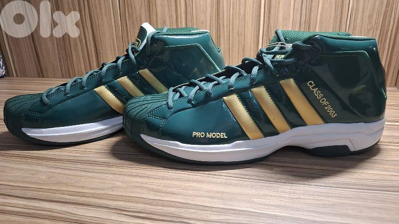 Basketball Shoes (New) + Casual Shoes (Like New) | $120 5