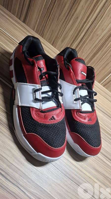 Basketball Shoes (New) + Casual Shoes (Like New) | $120 9