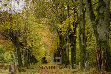Land for Sale in Baabdat