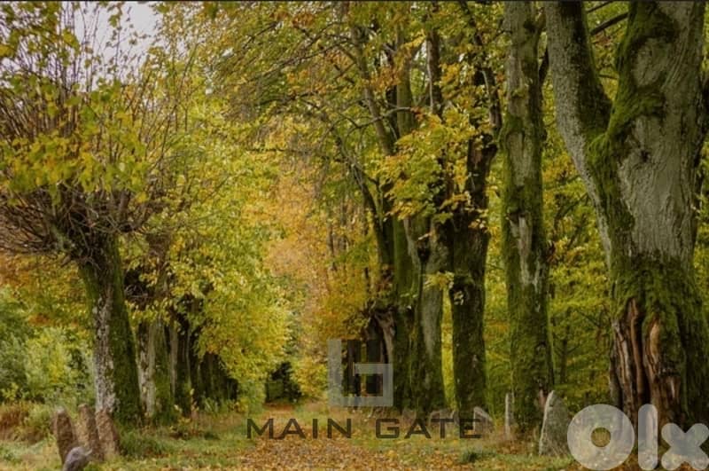 Land for Sale in Baabdat 0