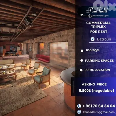 commercial triplex for rent
