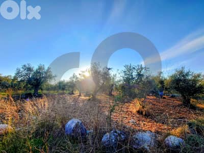 LAND/Only 20m from the main road/Nbouch-Zgharta/نبوح ! REF#TN131722