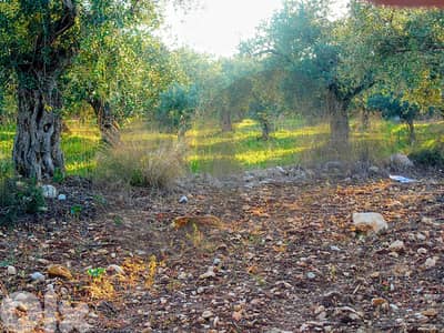 LAND/Only 20m from the main road/Nbouch-Zgharta/نبوح ! REF#TN131722