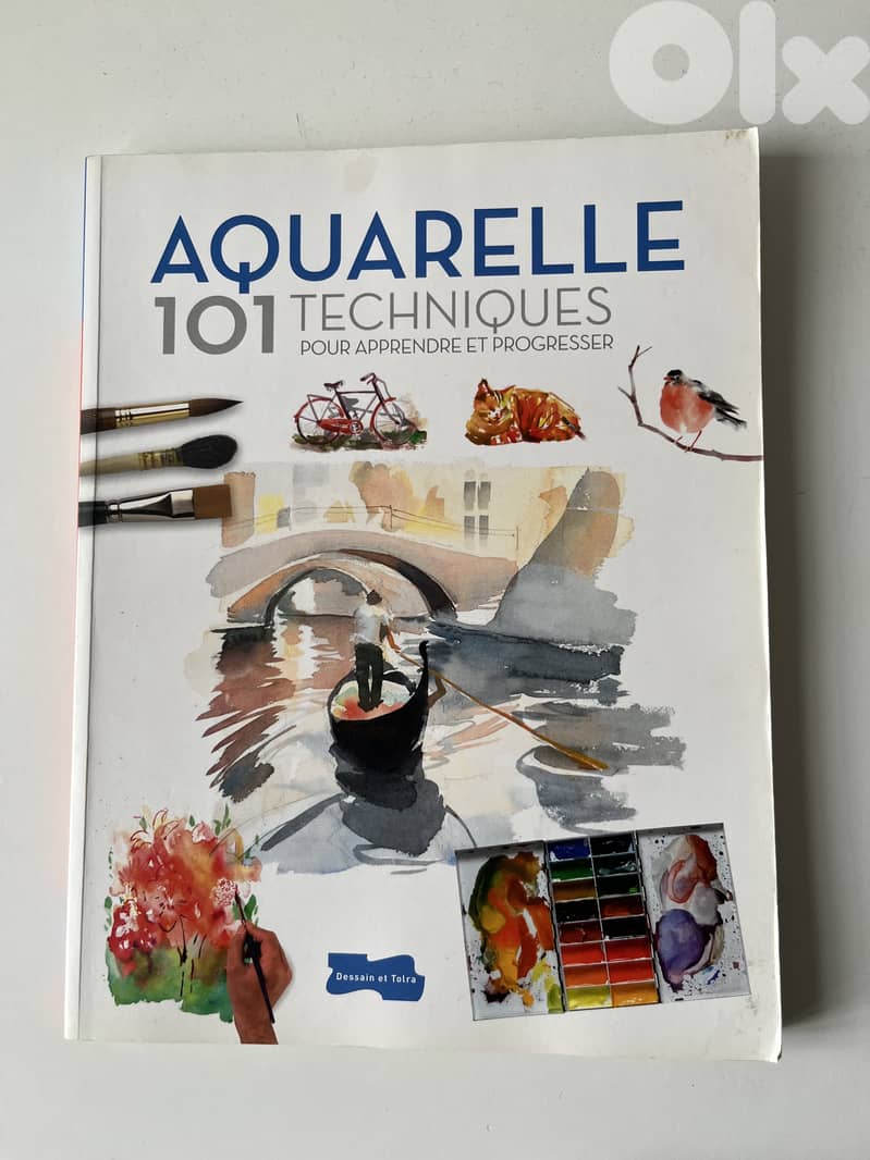 Aquarelle 101 Techniques / Dessain et Tolra 0